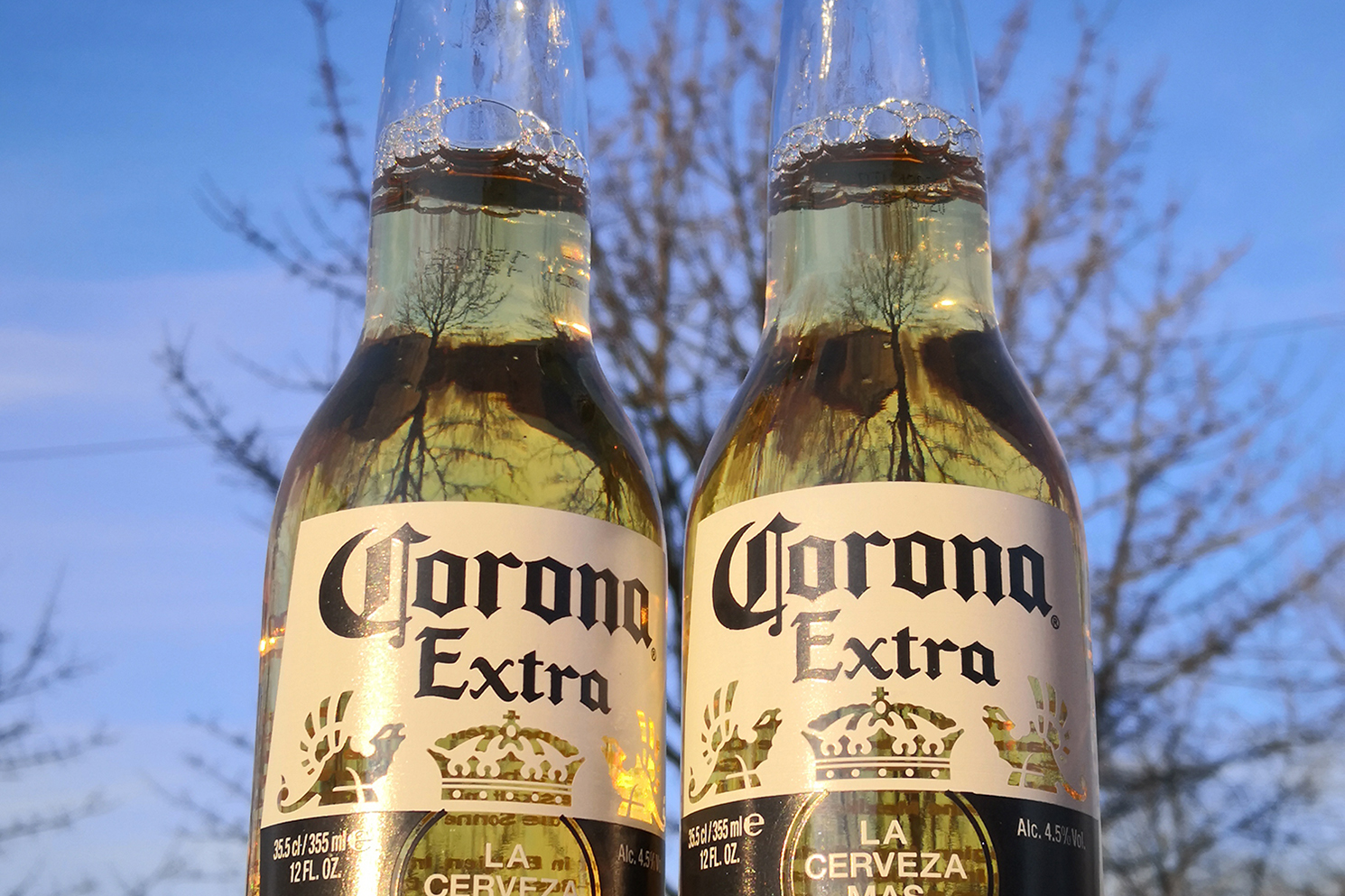 Corona positiv flaschen