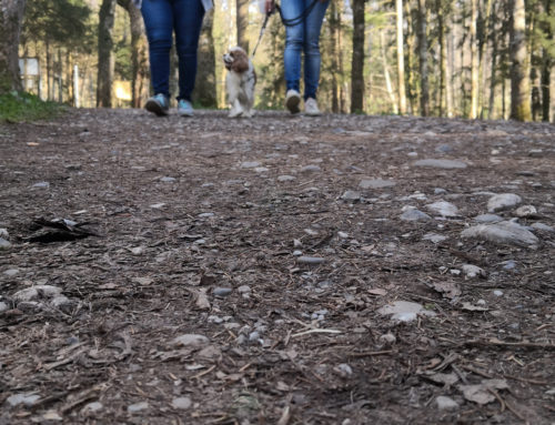 Coaching in Bewegung