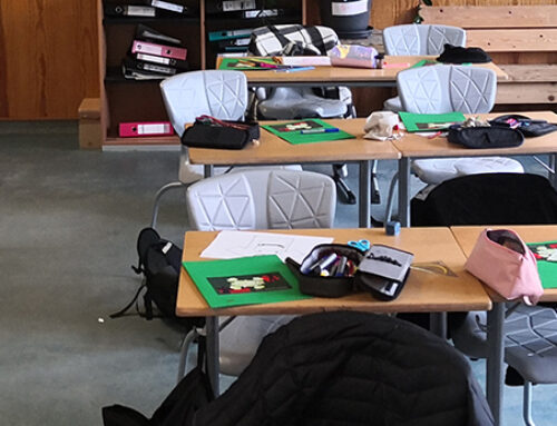 Mobbing in der Schule erkennen und verstehen
